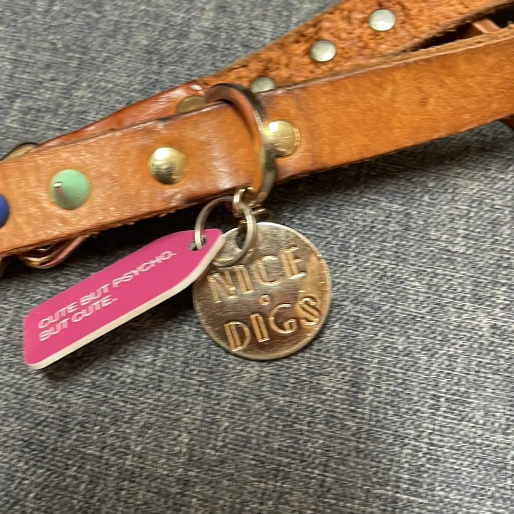 Nice Digs Original Spike Leather Dog Leash- Jungle Tan